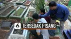 THUMBNAIL BAYI