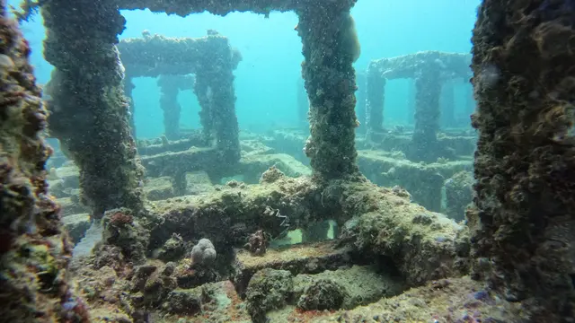 Konservasi Terumbu Karang