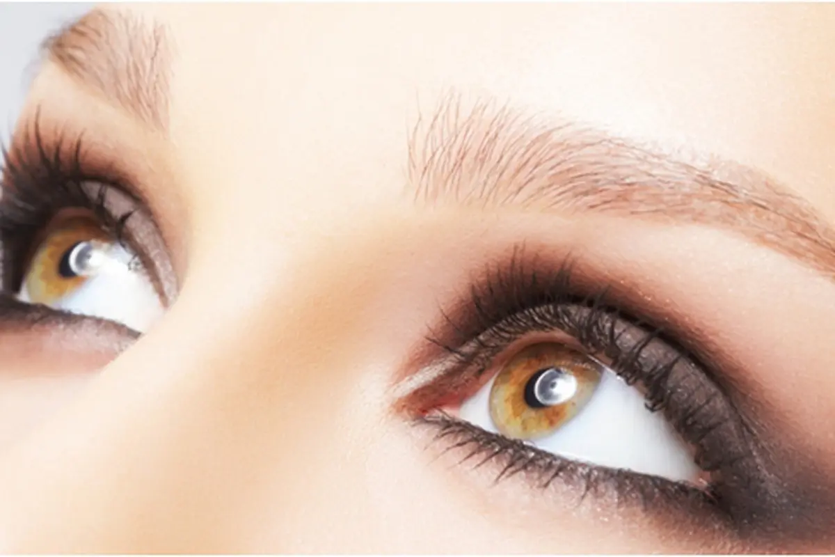 Courtesy ShutterStock.com