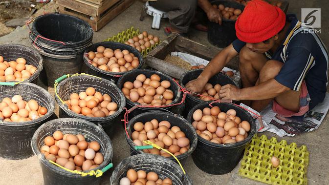 Pekerja mengumpulkan telur dari peternakan ayam di kawasan Depok, Jawa Barat, Senin (23/7). Tingginya harga telur ayam di pasaran karena tingginya permintaan saat lebaran lalu yang berimbas belum stabilnya produksi telur. (Liputan6.com/Immanuel Antonius)