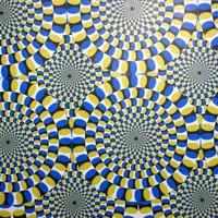 Ilusi Optik (Sumber Foto: BuzzFeed)