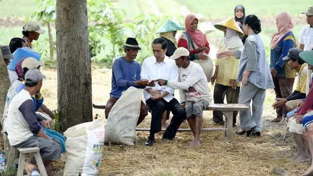Jokowi: Tol Pejagan-Pemalang I dan II Beroperasi Lebaran 2016