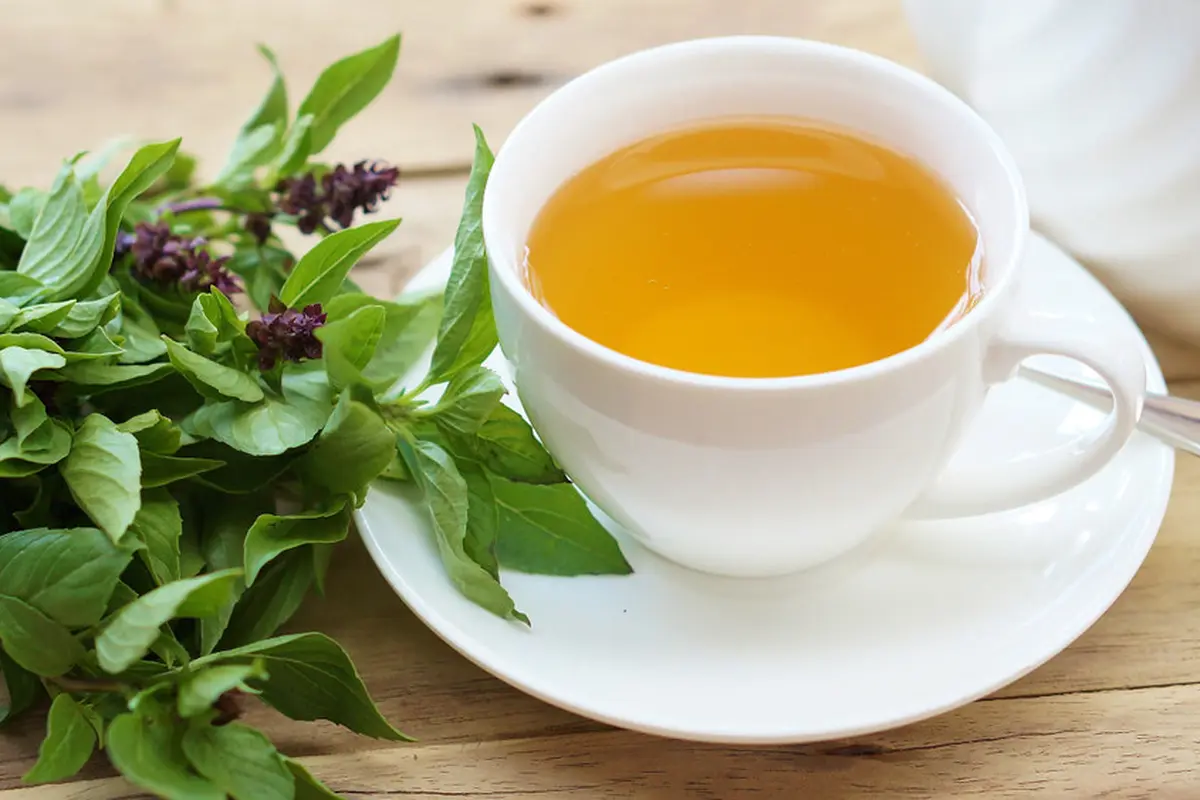 minuman seduhan rebusan kemangi
