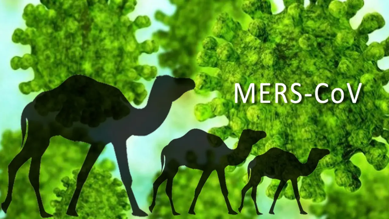 Ilustrasi Penyakit Mers CoV 