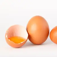 Yuk, simak menfaat telur bagi tubuh dibawah ini! [Dok/freepik.com/sergiorojoes]