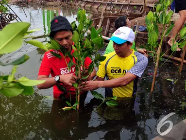 Sejumlah relawan Pertamina Sobat Bumi melakukan penanaman mangrove di Desa Muara Ujung, Tangerang, Banten, Minggu (7/12/2014). (Liputan6.com/Johan Tallo)