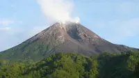 Gunung Merapi (Istimewa)