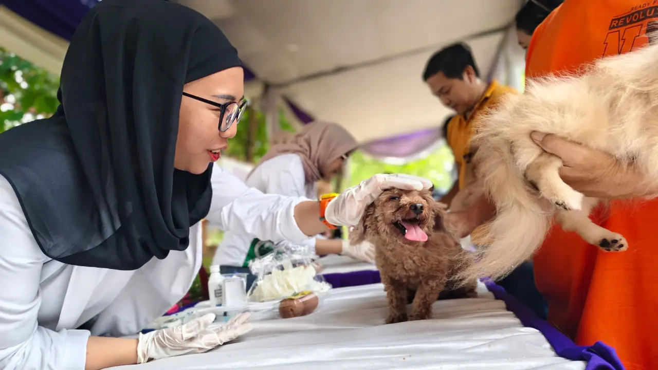 Pemberian 345 vaksin rabies gratis dari Balai Karantina Lampung. Foto: (Ist).