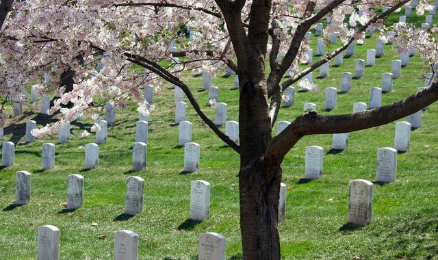 Hukum Ziarah Kubur dalam Perspektif Islam