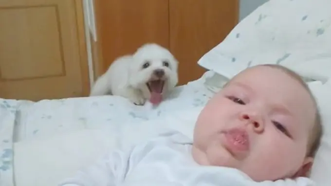 Photo copyright HuffingtonPost.com