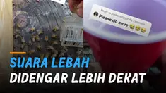 Momen tidak terduga yang jarang sekali dilakukan. Unik dan lucu jika mendengarkan suara lebah lebih dekat.