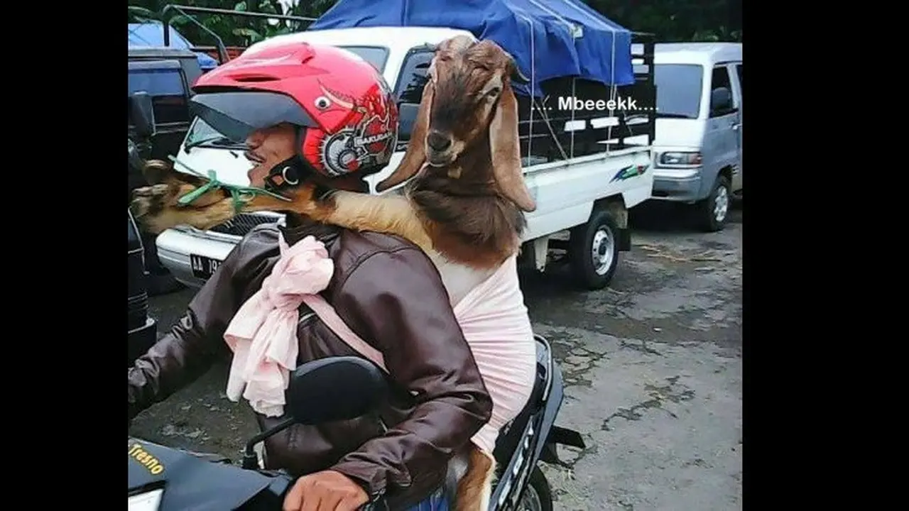 mem\