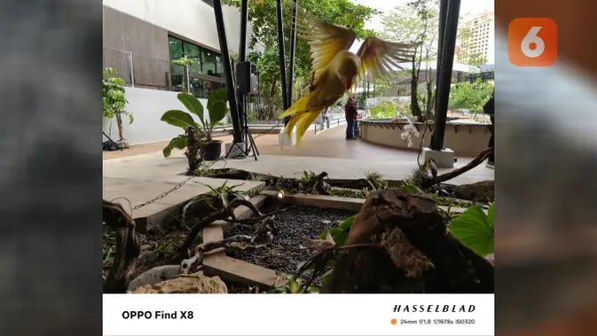 <p>Beberapa hasil foto memakai Oppo Find X8. (Liputan6.com/ Yuslianson)</p>