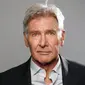 Harrison Ford sempat alami kecelakaan pesawat