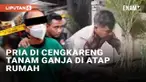 Warga Pedongkelan, Cengkareng, Jakarta Barat dikejutkan oleh penggerebekan polisi ke kediaman pria berinisial AJ (36). AJ diketahui menanam ganja di atap rumah secara sembunyi-sembunyi. Polres Metro Jakarta Barat menemukan 16 pot dan 40 tanaman ganja...