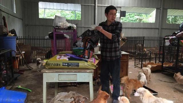 Adopsi 300 Anjing dalam 2 Tahun Terakhir, Bikin Pria Ini Terbelit Utang
