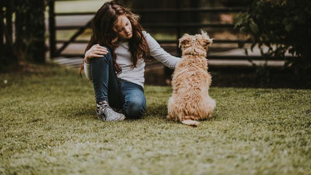 Hewan peliharaan/unsplash Annie