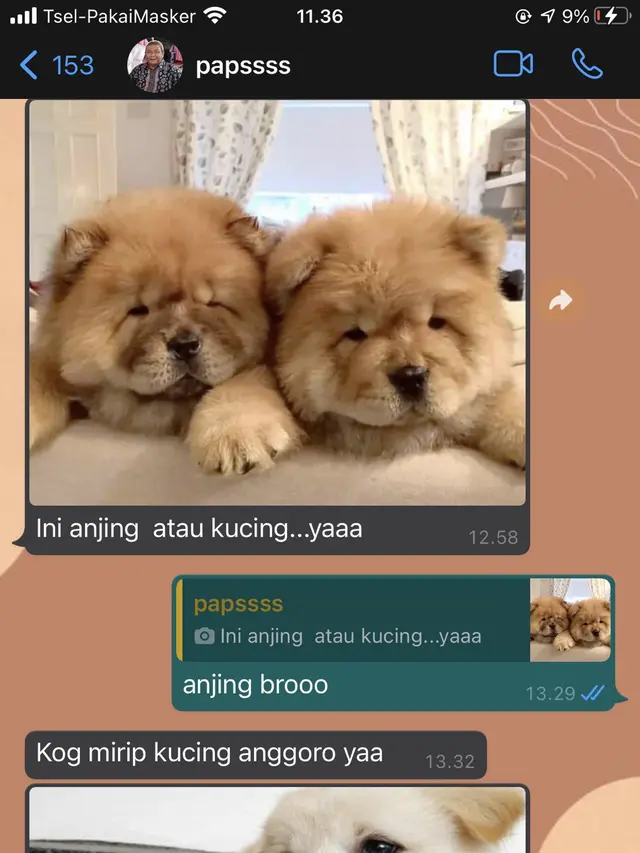 6 Chat Lucu Antara Anak dan Bapak Ini Bikin Senyum-senyum