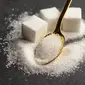 Hendaknya konsumsi gula sesuai aturan kesehatan. (Foto: Freepik/fabrikasimf)