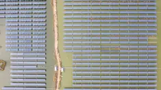 Foto udara menunjukkan panel-panel surya fotovoltaik di Wilayah Baoying, China (5/11/2020). Wilayah Baoying berupaya mengembangkan agrikultur ekologis melalui penggabungan budidaya ikan dengan pembangkit listrik tenaga surya, sebagai cara mendorong revitalisasi kawasan perdesaan. (Xinhua/Li Bo)