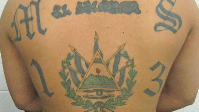 Ilustrasi tato di punggung seorang anggota MS-13. (Sumber Wikimedia Commons)