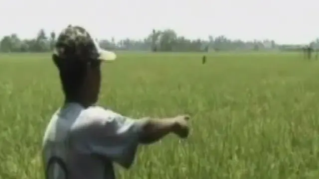 Kemarau Datang, Waduk di Jombang Mengering