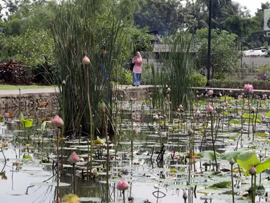 Warga berjalan-jalan di kawasan Taman Piknik, Jakarta, Minggu (20/1). Taman seluas 1 hektar di Jalan Manunggal II, Cipinang Melayu, Jakarta Timur ini menjadi salah satu taman baru milik Pemprov DKI Jakarta untuk warga. (Liputan6.com/Helmi Fithriansyah)