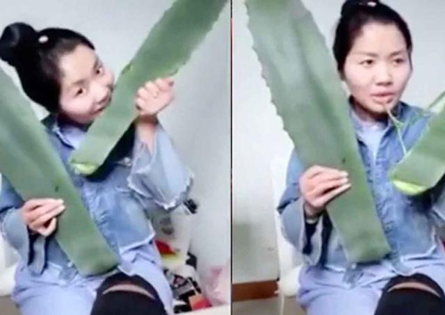 Zhang makan tanaman beracun yang dikira lidah buaya | Copyright by YouTube.com/Blagag!