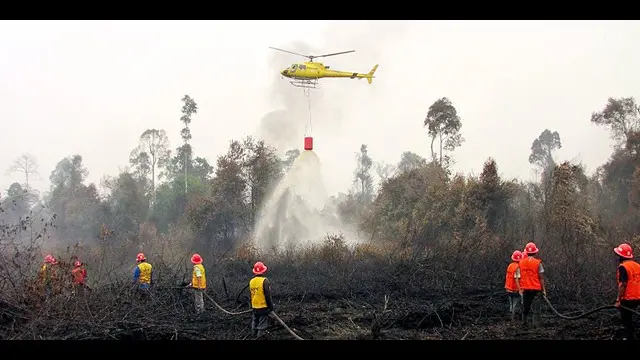 News Flash : Polisi Tangkap PNS Pembakar Hutan
