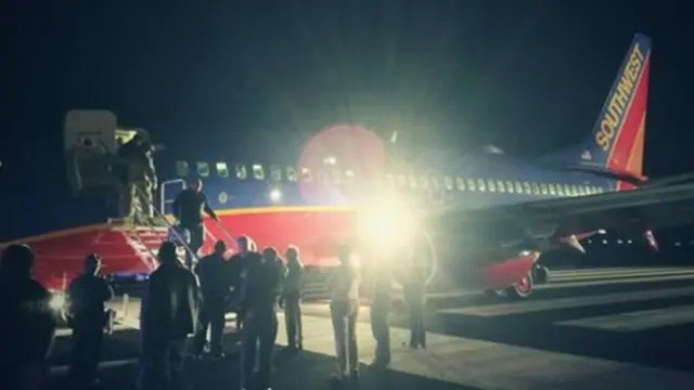 Foto: copyright oddee.com