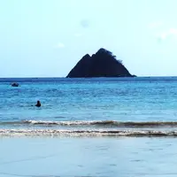 Mitosnya, siapapun yang datang ke pulau Gunung Wayang akan meninggal.