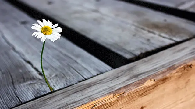 indescribablelove.com