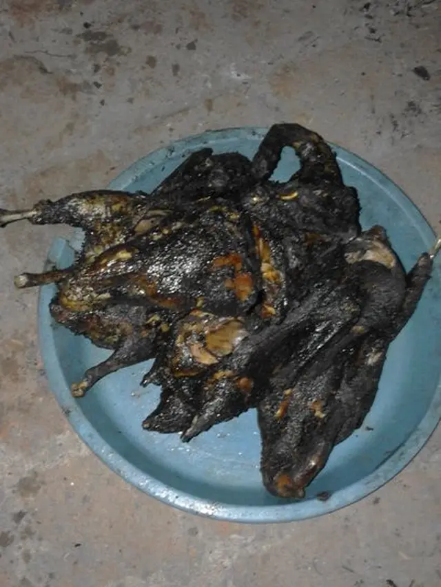 6 Potret Makan Bebek Ini Anti-Mainstream, Kelewat Nyeleneh