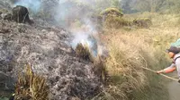 Tim gabungan pemadam kebakaran Gunung Semeru berupaya memadamkam kobaran api dengan ranting pohon (BB TNBTS)