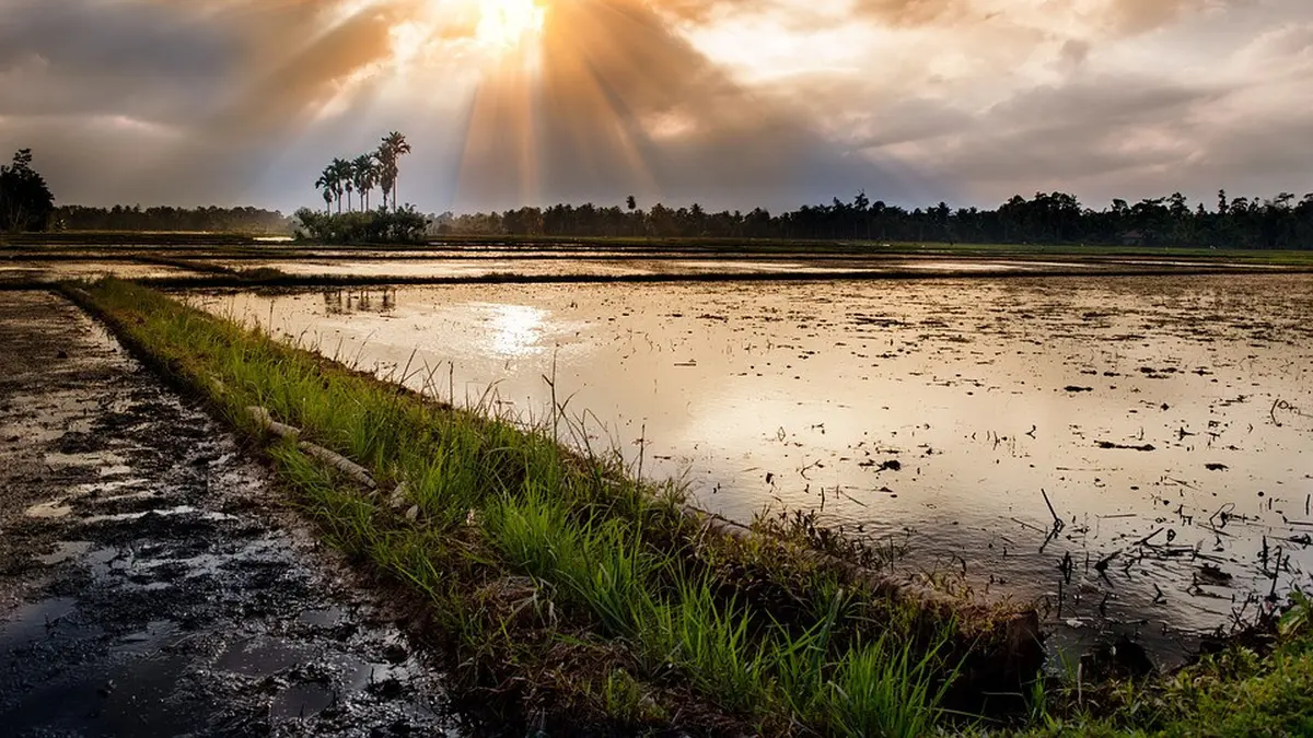 10 Jenis-Jenis Tanah di Indonesia dan Persebarannya - News Liputan6.com