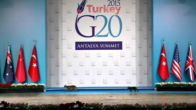 Ri Bakal Tunjukkan Komitmen Pertukaran Data Di Forum G20 Bisnis Liputan6 Com