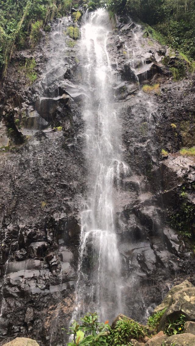 Tarif Tiket Masuk Taman Nasional Halimun Salak