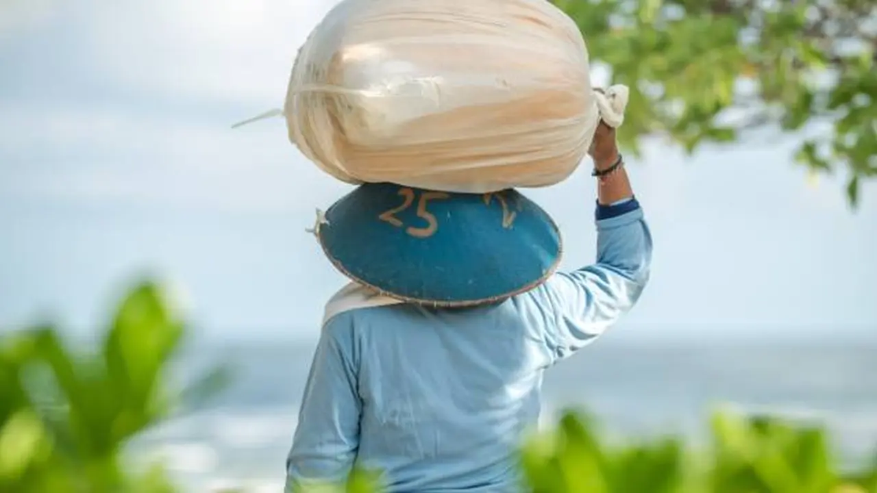 Ilustrasi petani
