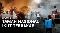 Saat ekspo taman nasional digelar untuk memperkenalkan kekayaan alam Indonesia. Taman Nasional Way Kambas di Lampung terbakar. Kebakaran hutan darurat ditangani. Tidak hanya di Kalimantan, Sumatra, bahkan Papua.