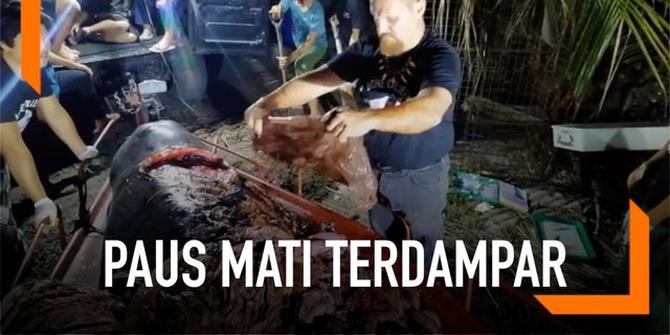 VIDEO: Sampah Plastik 40 Kg Ada di Perut Paus Filipina