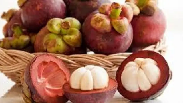 [Bintang] Buah manggis