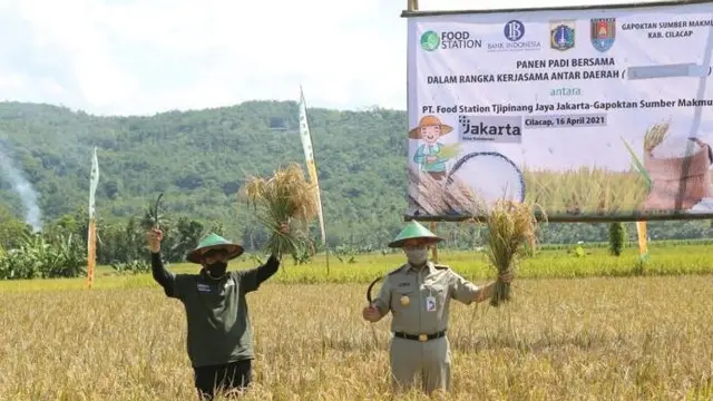 Gubernur DKI Jakarta Anies Baswedan dan Bupati Cilacap Tatto Suwarto Pamuji panen raya padi di lahan yang dipersiapkan untuk menyuplai beras ke Jakarta. (Foto: Liputan6.com/Humas Pemkab Cilacap)