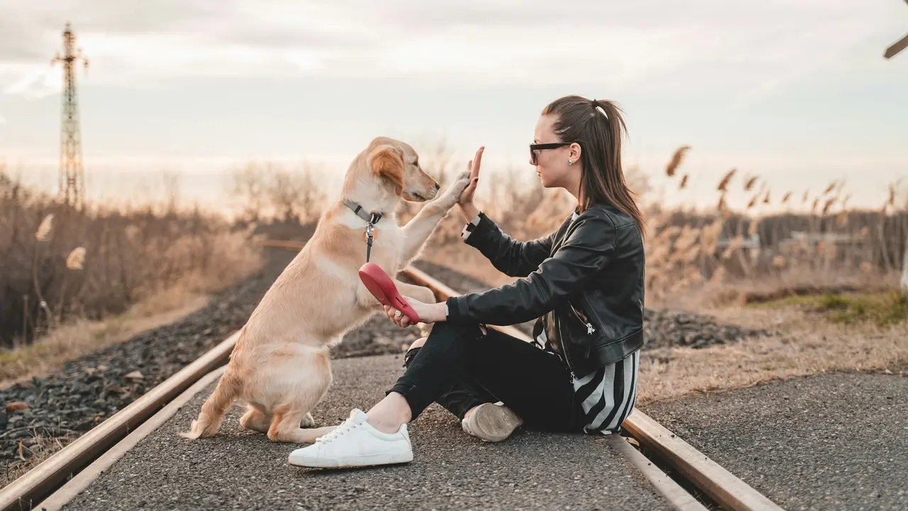 Dog and Owner