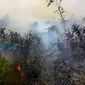 Api melumat lahan kosong di Provinsi Riau dan sudah mengepulkan asap tebal. (Liputan6.com/M Syukur)