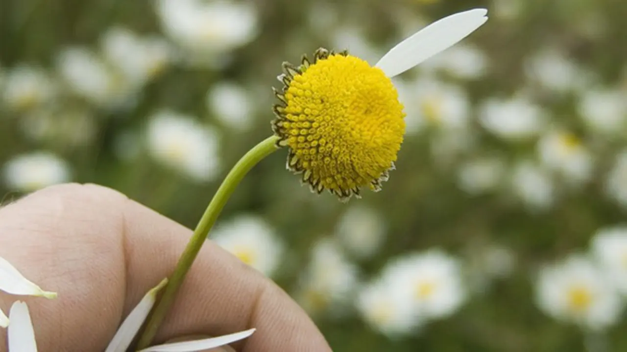 Foto: copyright thinkstockphotos.com