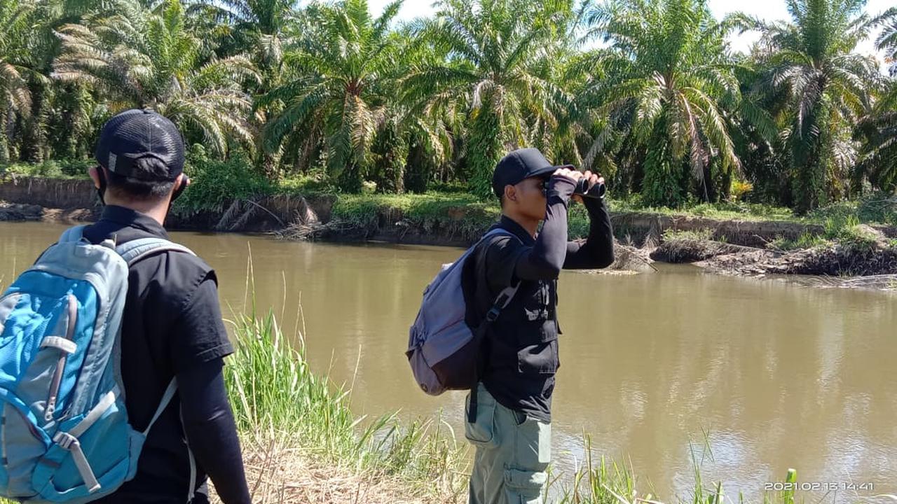 Tim BKSDA Sumbar melakukan identifikasi lapangan terkait konflik buaya dan manusia di Kabupaten Agam. (Liputan6.com/ Dok BKSDA Sumbar)