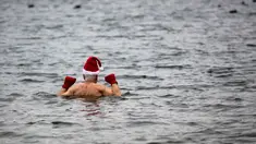 Anggota klub renang "Berliner Seehunde" (Berlin Seals) turun ke danau Orankesee sebagai bagian dari tradisi berenang pada Natal di Berlin, Jerman, Senin (25/12). Kegiatan ini salah satu tradisi di Berlin menyambut Natal setiap tahun. (AP/Markus Schreiber)