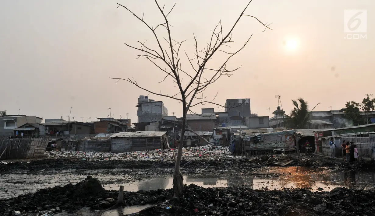 Pemandangan Kampung Bengek selama proses pembersihan sampah, Muara Baru, Penjaringan, Jakarta, Rabu (4/9/2019). Setelah viral dan menjadi sorotan, lautan sampah yang memenuhi tanah garapan milik PT Pelindo II tersebut mulai dibersihkan. (merdeka.com/Iqbal Nugroho)