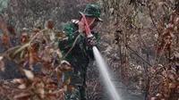 Wakapolri: Penanganan Karhutla Tak Hanya Melalui Pemadaman