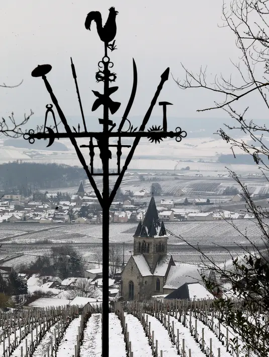 Gereja Ville-Dommange dikelilingi oleh kebun anggur sampanye yang tertutup salju pada hari pertama musim semi di wilayah Champagne di Mailly-Champagne, dekat Reims, (19/3). (AFP Photo/Francois Nascimbeni)
